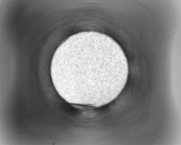 X0000088151489200706041345