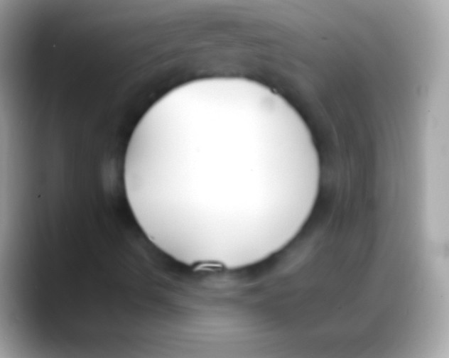 X0000088151490200706041345