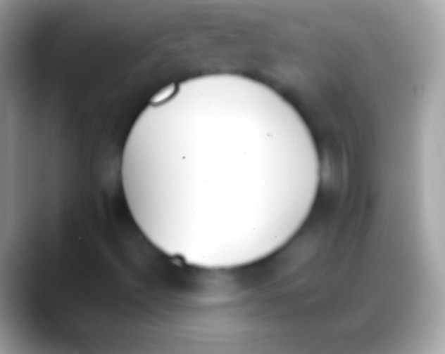 X0000088151492200706041345