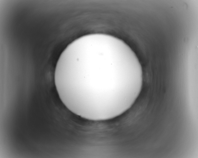 X0000088151493200706041345