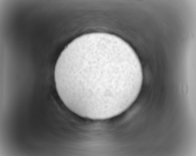 X0000088151494200706041345