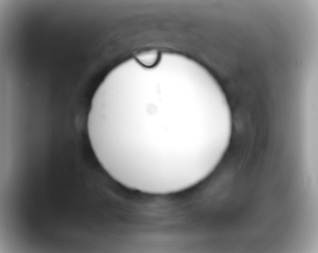 X0000088151495200706041345