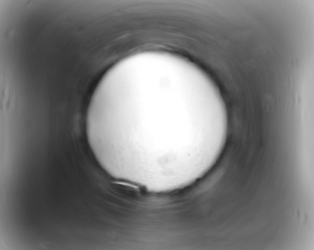 X0000088151497200706041345