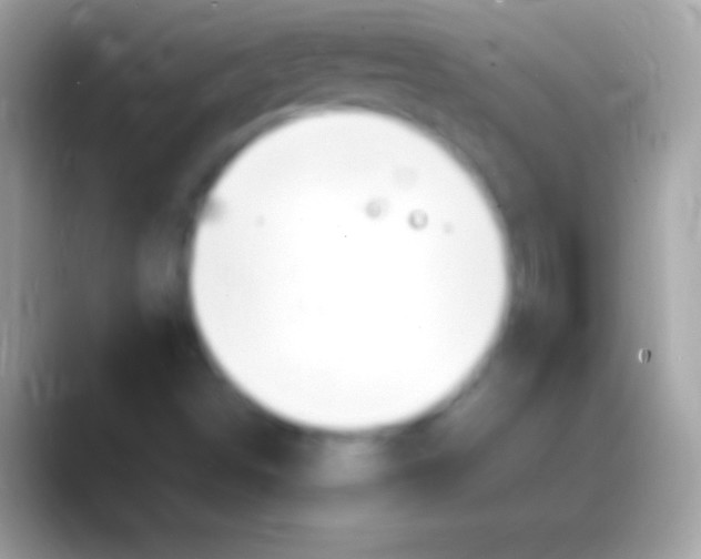 X0000088151498200706041345