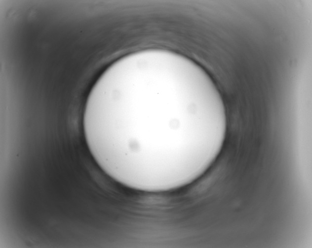 X0000088151499200706041345