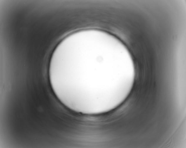 X0000088151500200706041345