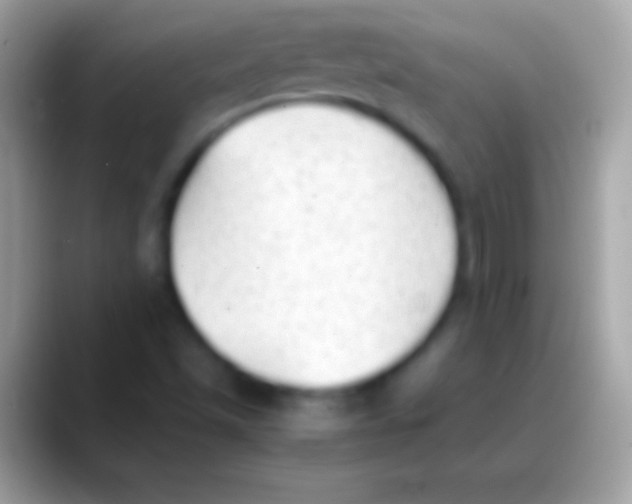 X0000088151501200706041345