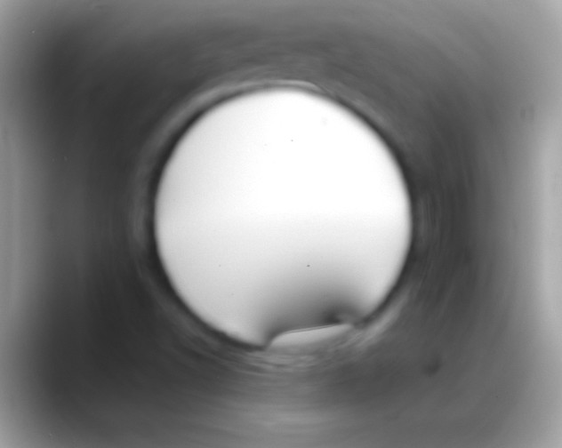 X0000088151502200706041345