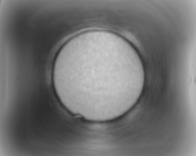 X0000088151504200706041345