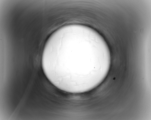 X0000088151505200706041345