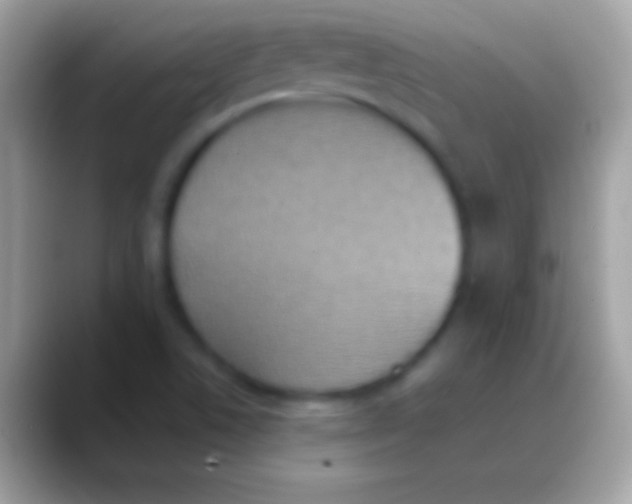 X0000088151506200706041345