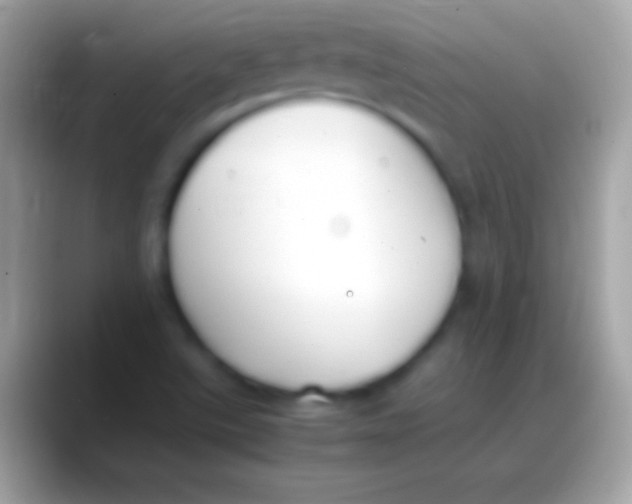 X0000088151507200706041345