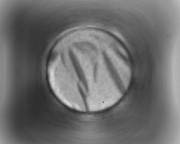 X0000088151508200706041345