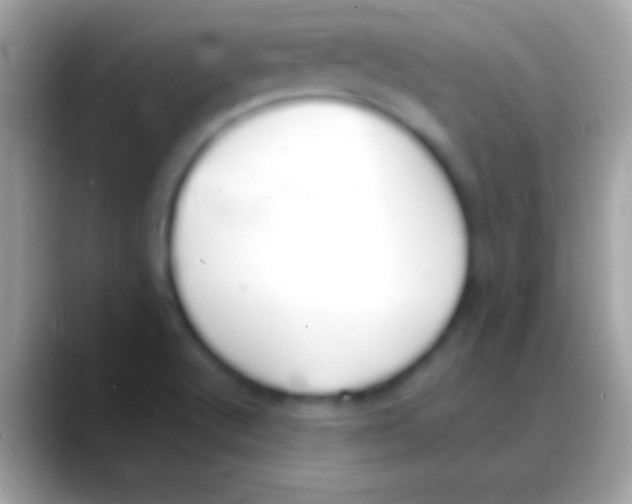 X0000088151512200706041345