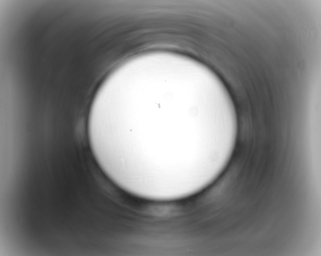 X0000088151513200706041345