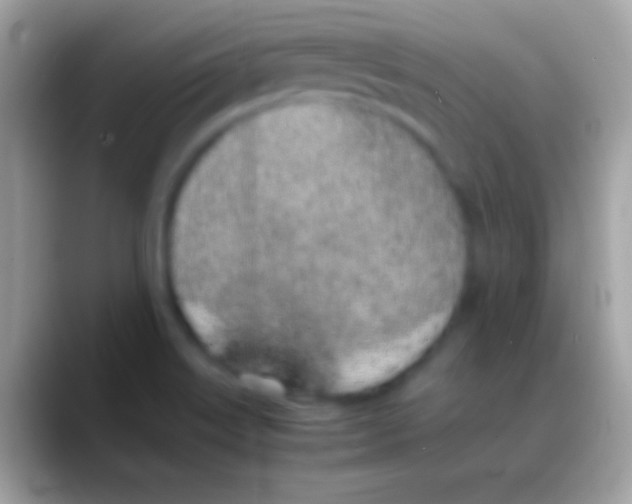 X0000088151515200706041345