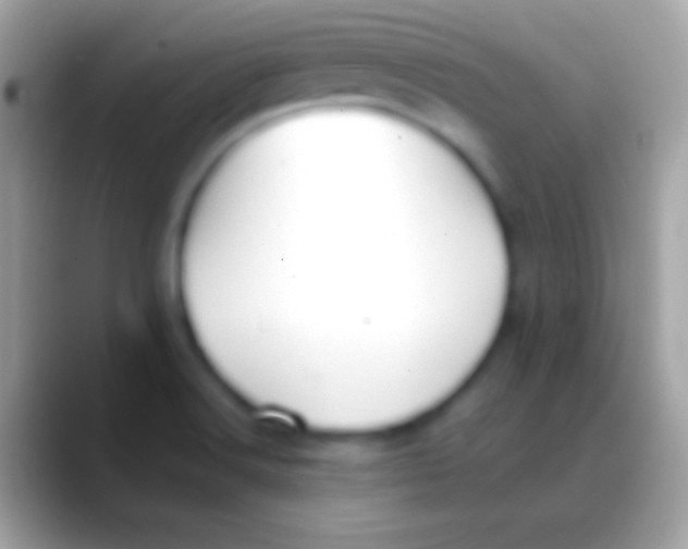 X0000088151516200706041346