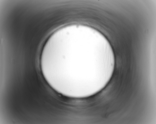 X0000088151517200706041346