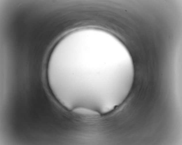 X0000088151518200706041346