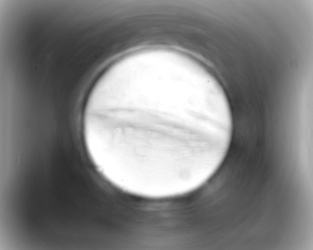 X0000088151519200706041346