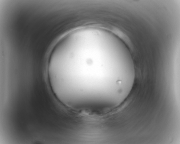 X0000088151520200706041346