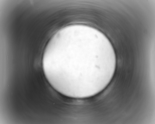 X0000088151521200706041346