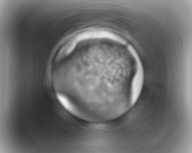 X0000088151522200706041346