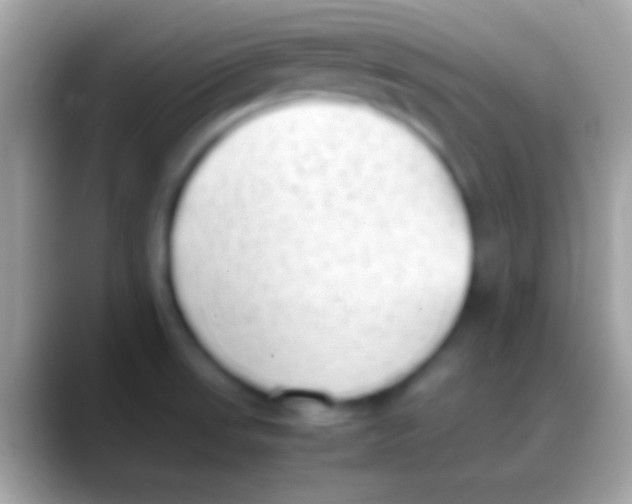 X0000088151523200706041346