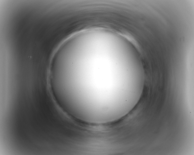 X0000088151524200706041346