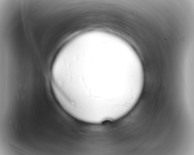 X0000088151525200706041346