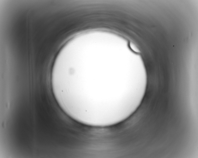 X0000088151526200706041346