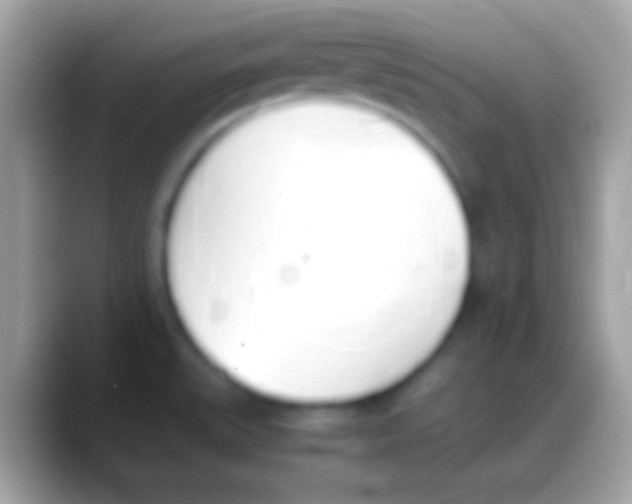 X0000088151527200706041346