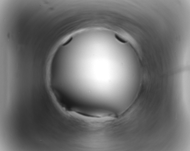 X0000088151528200706041346