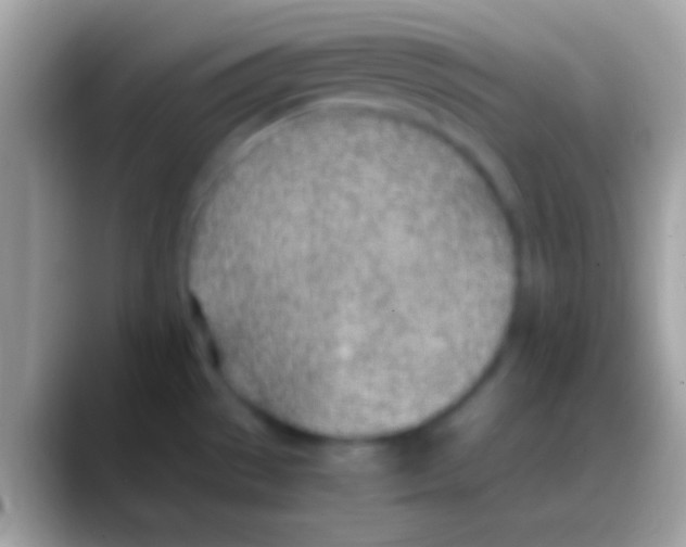 X0000088151529200706041346