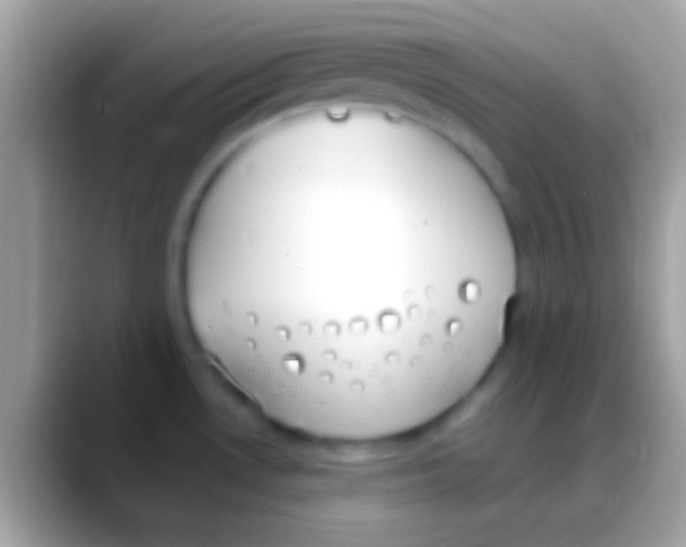 X0000088151530200706041346