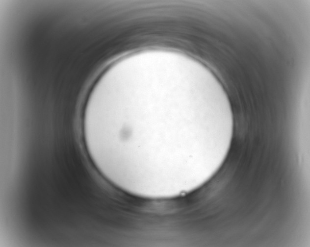 X0000088151531200706041346