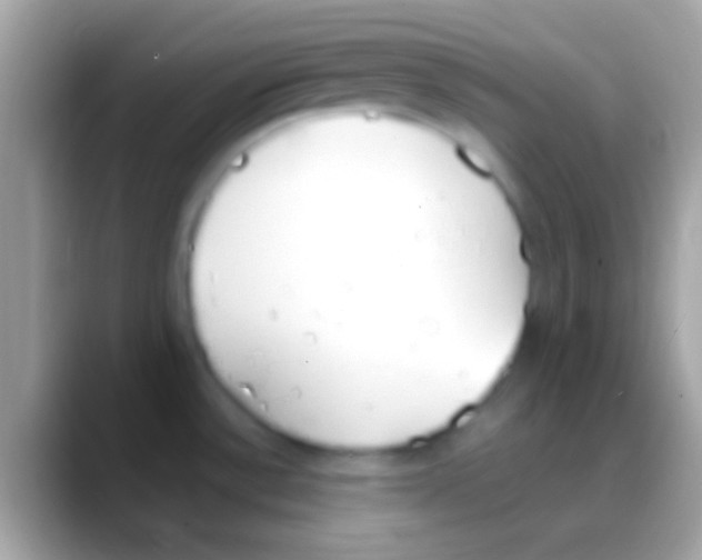 X0000088151532200706041346