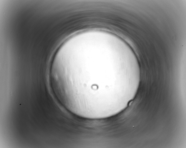 X0000088151533200706041346