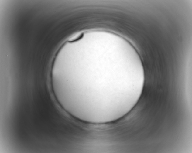 X0000088151534200706041346