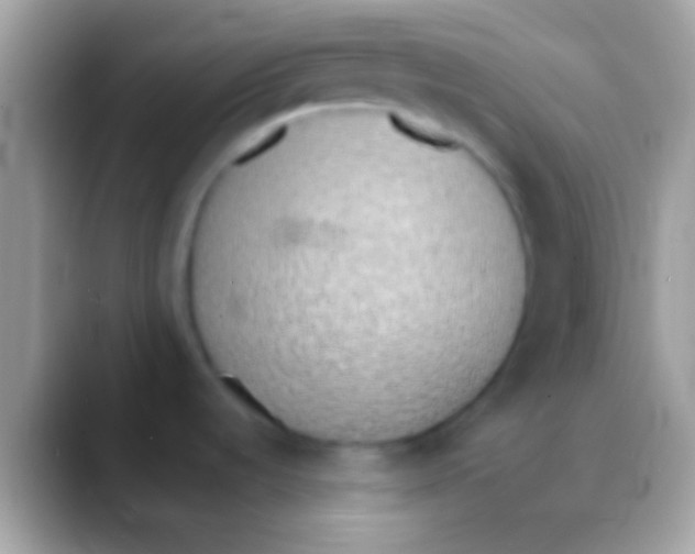 X0000088151536200706041346