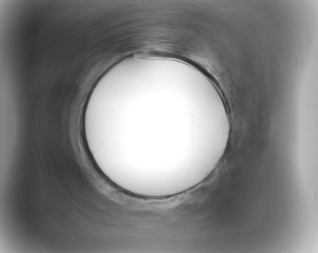 X0000088150001200706042038