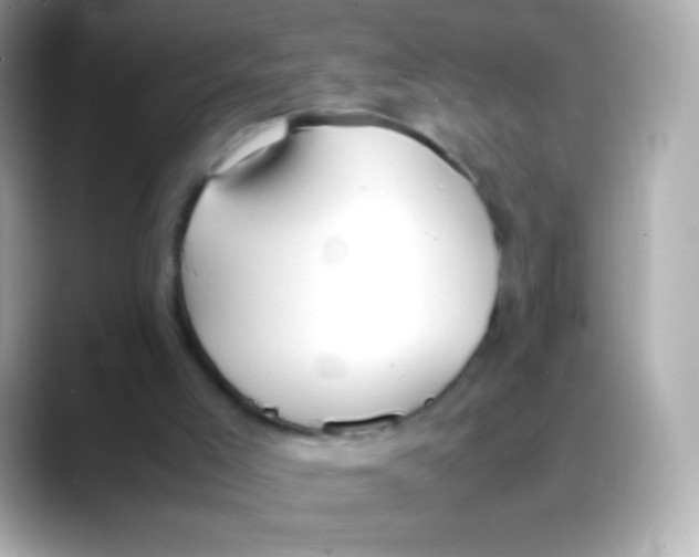 X0000088150005200706042038