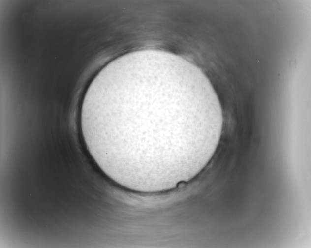 X0000088150006200706042038