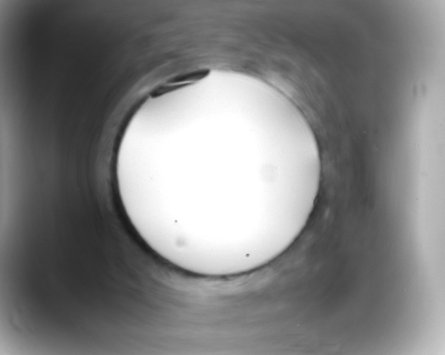 X0000088150007200706042038