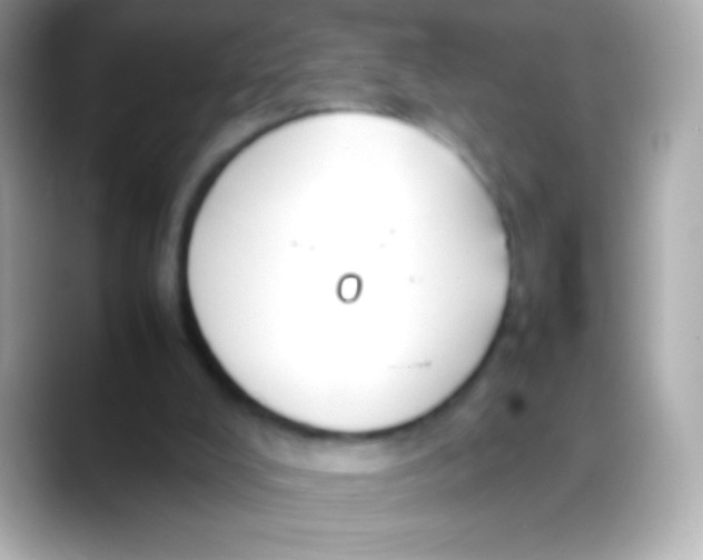 X0000088150008200706042038