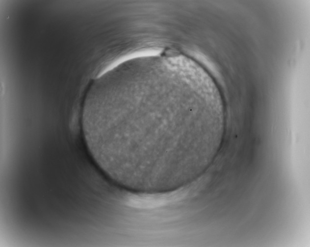 X0000088150009200706042038