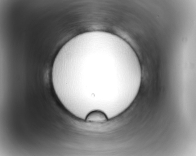 X0000088150010200706042038