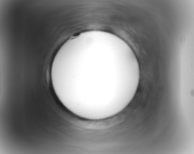 X0000088150011200706042038