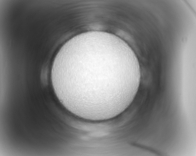 X0000088150012200706042038