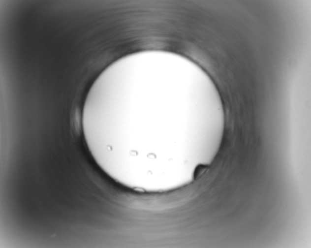 X0000088150013200706042038